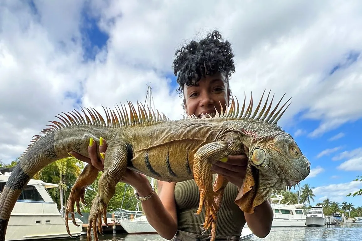 Epic Airboat Tours guest holding a large iguana on an airboat in South Florida