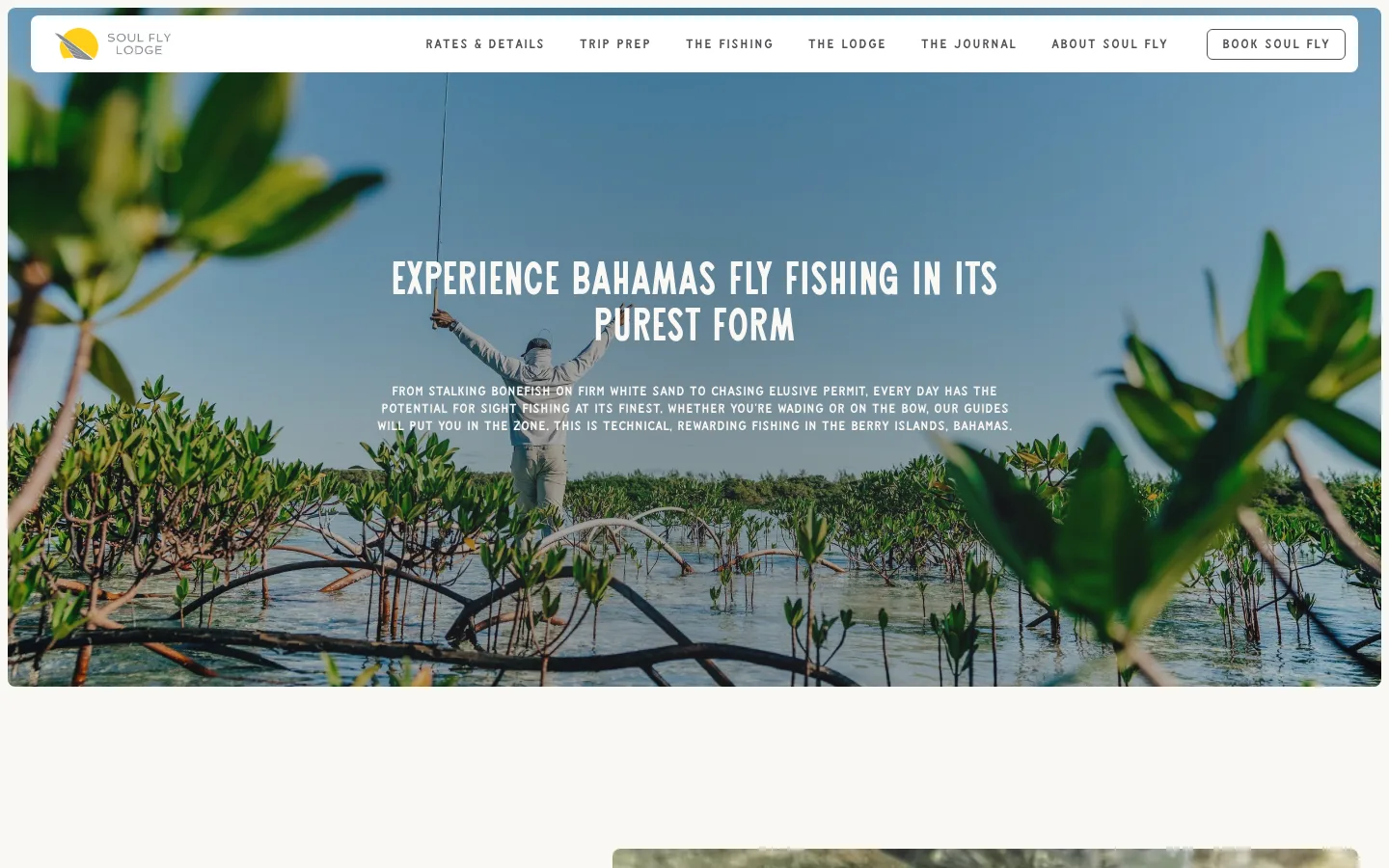 Soul Fly Lodge Bahamas fly fishing page: the flats, the species and the season on one page.