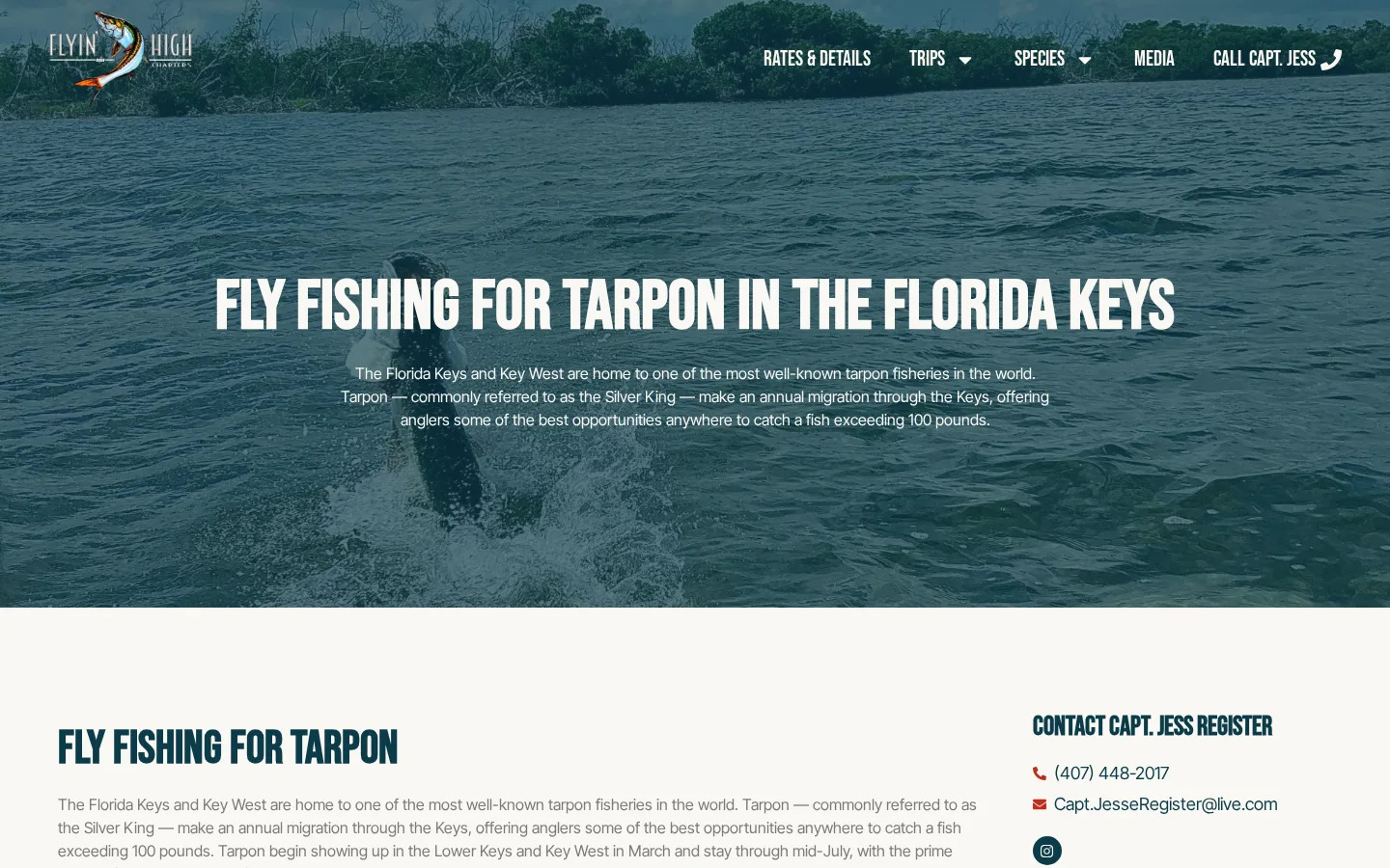Flyin' High Charters tarpon fishing page: one species, the season, and how the trip runs.